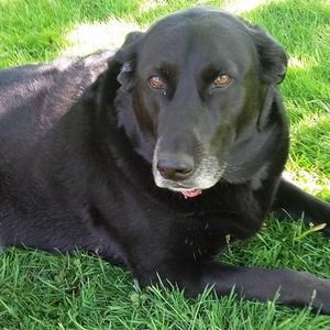 Meet your Posher, Brenda